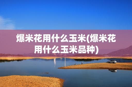 爆米花用什么玉米？爆米花专用玉米选购指南