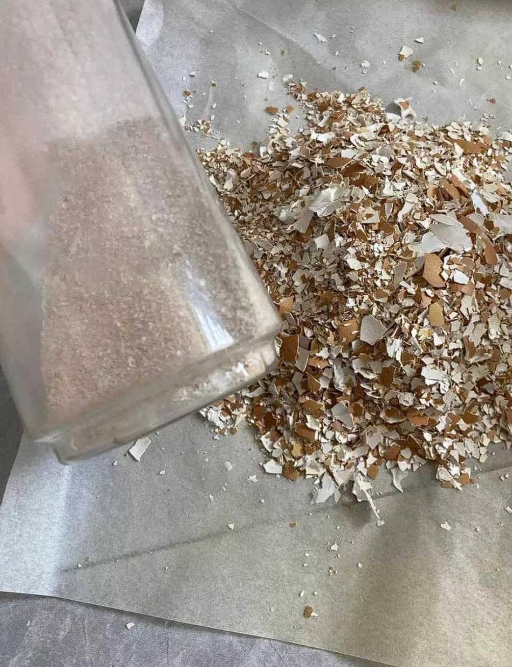 种植高招：妙用茶麸、鸡蛋壳粉末、蚯蚓粪，种出来的蔬菜好吃没病高产