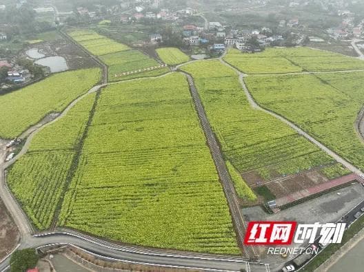全国首批全域土地综合整治试点典型案例发布 湖南一案例成功入选