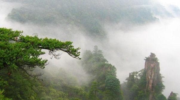 莽山：南岭深处的生态明珠，世界级动植物宝库