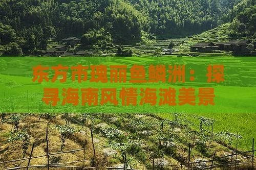 海南东方市鱼鳞洲：新晋旅游胜地，鱼鳞石与赶海成特色