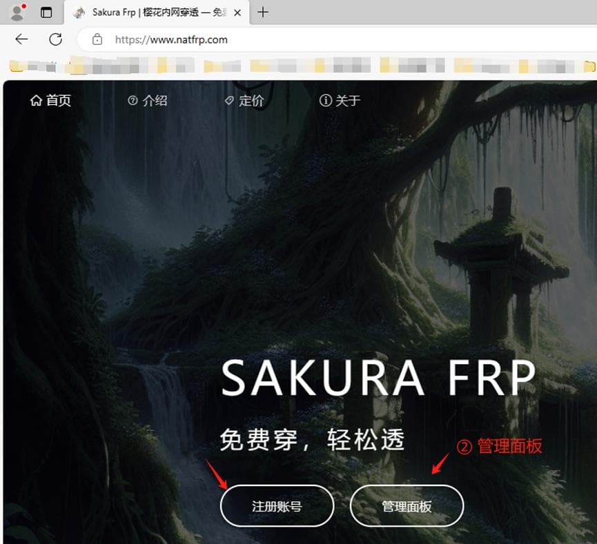 基于VPN服务器+内网穿透的远程局域网搭建教程