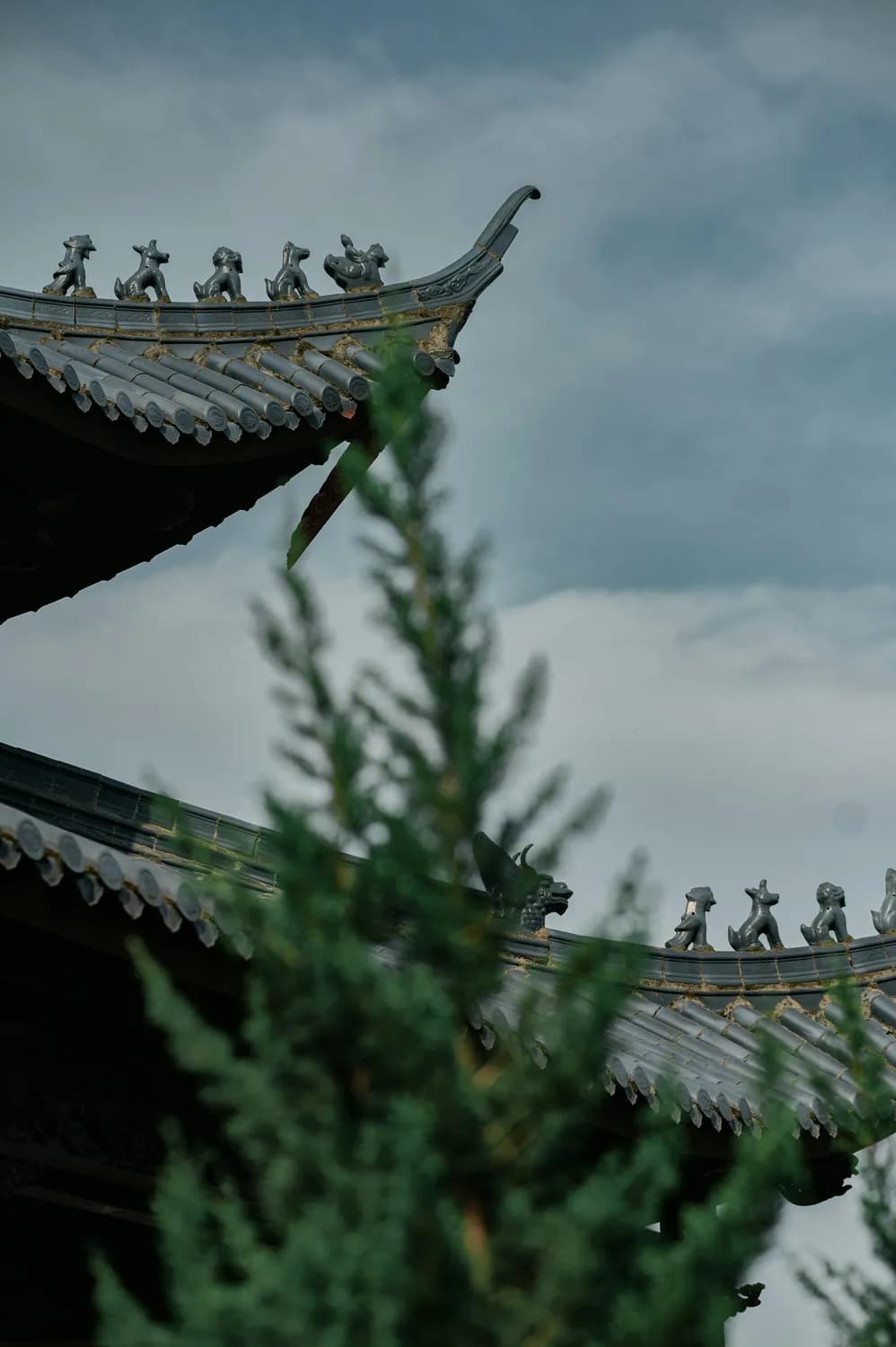 《中国诗词大会》推荐：刘姓男孩古风名字