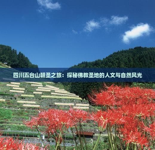 四川五台山朝圣之旅：探秘佛教圣地的人文与自然风光