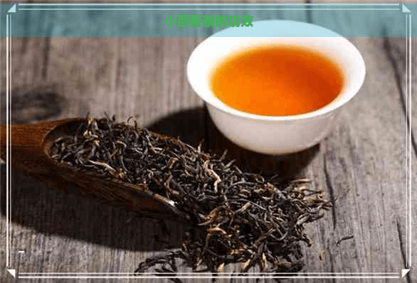 小茴香茶的功效与禁忌：全方位解析