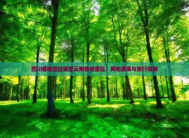 四川香格里拉镇至云南香格里拉：两地距离与旅行指南