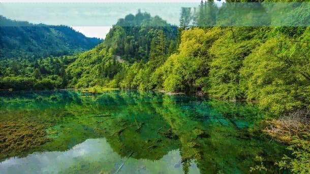 海南文昌东郊区域发展规划新动态：最新政策解读与建设进展