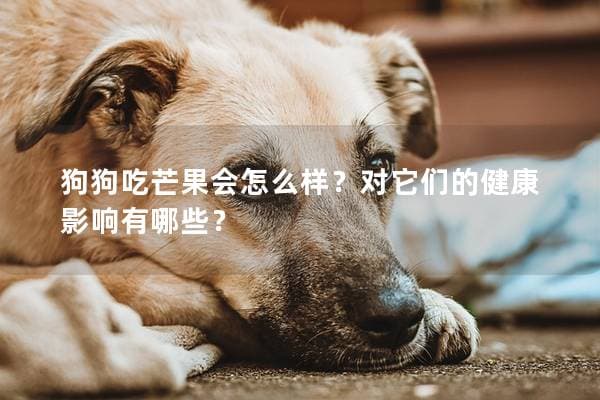 狗狗吃芒果会怎么样？对它们的健康影响有哪些？