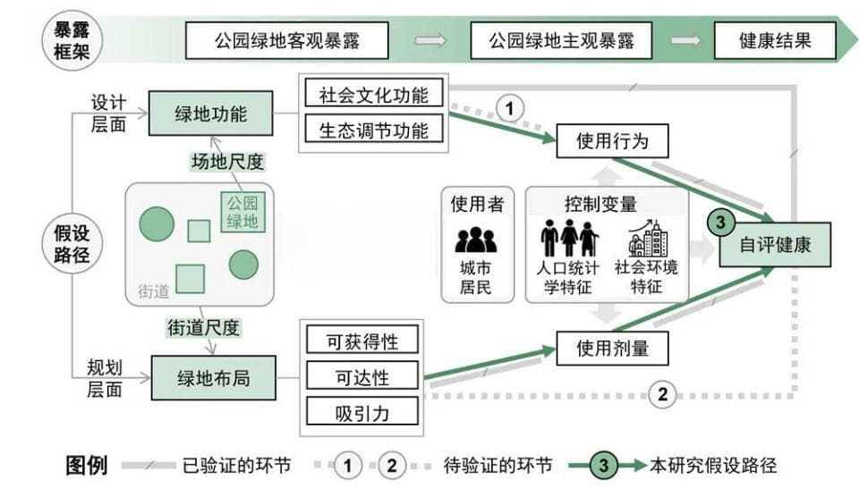 中国农业大学常青教授团队：城市绿地对人类健康的促进路径研究