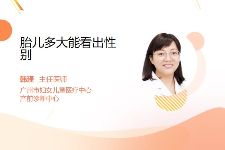 胎儿多大能看出性别