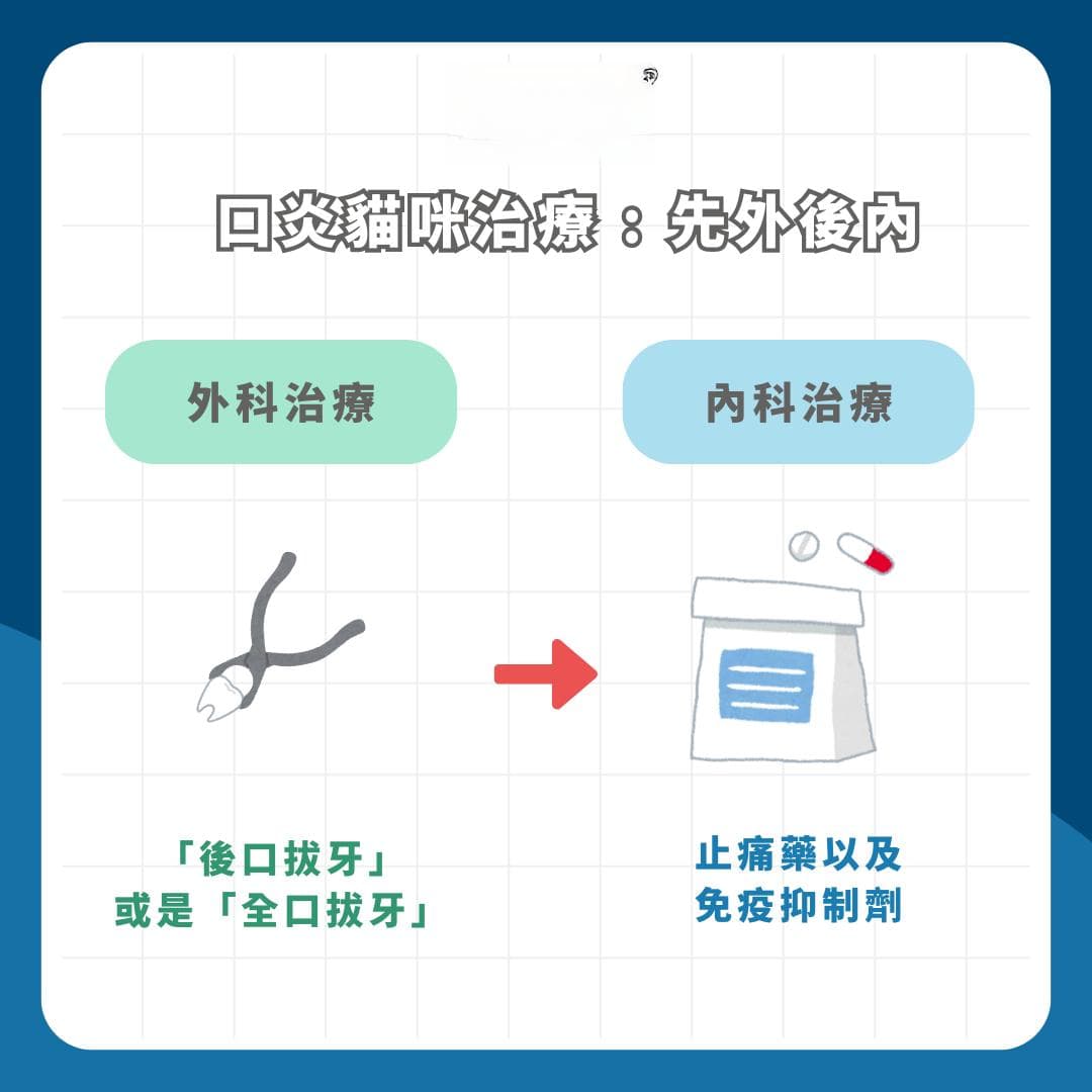 什么是猫咪口炎？又该如何治疗呢？让兽医师来告诉你！