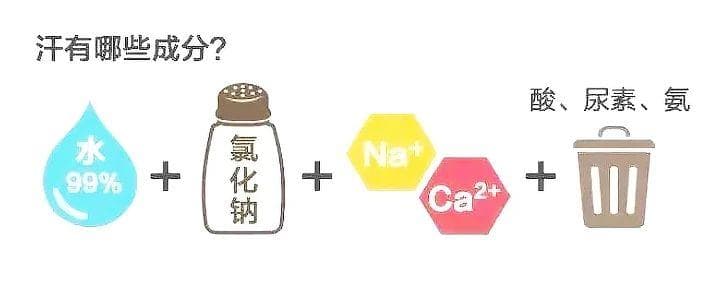 运动前、中、后分别怎么喝水？营养师教你一套科学方案