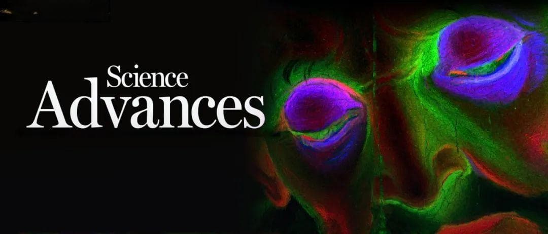 Science子刊封面：500年前拉斐尔怎么作画，AI看一眼就知道