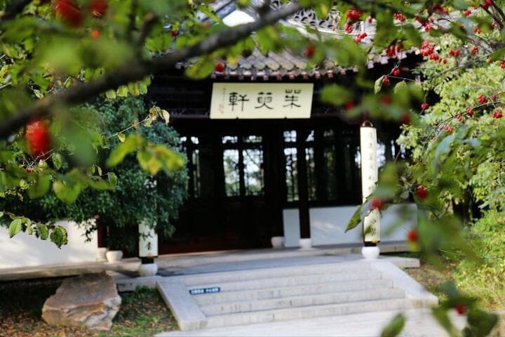你好，这里是江苏！｜湾头：重阳节“遍插茱萸”故地