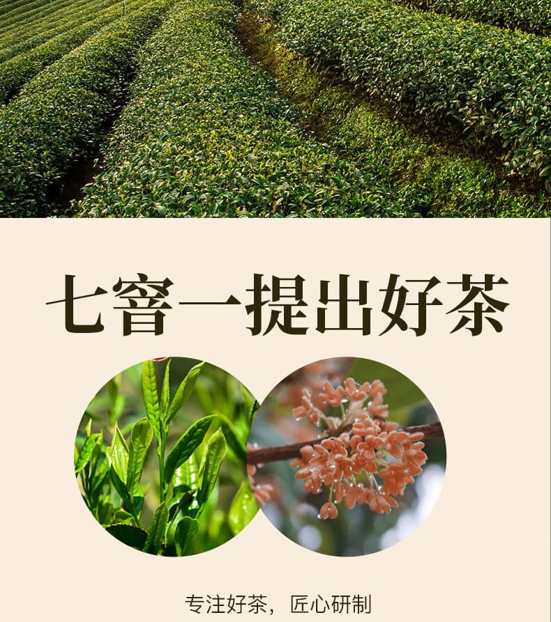 桂花红茶：红茶与桂花的完美邂逅