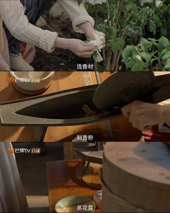 寻物 | 唯有牡丹真国色，《国色芳华》中的唐风美学
