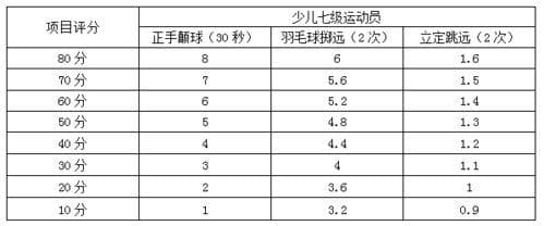 羽毛球国家二级运动员标准及申请条件详解