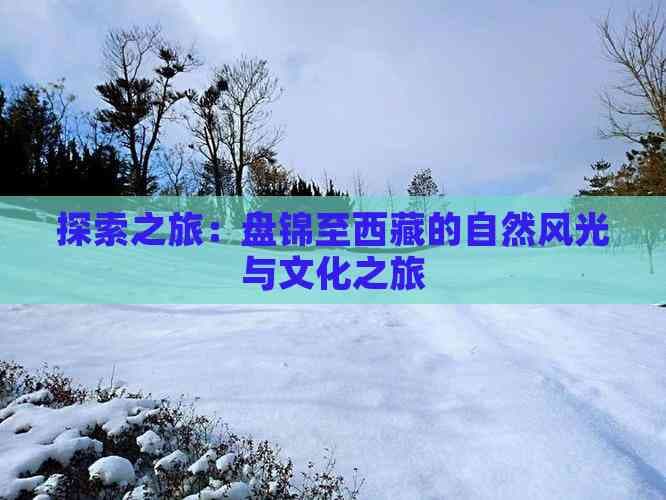探索之旅：盘锦至西藏的自然风光与文化之旅