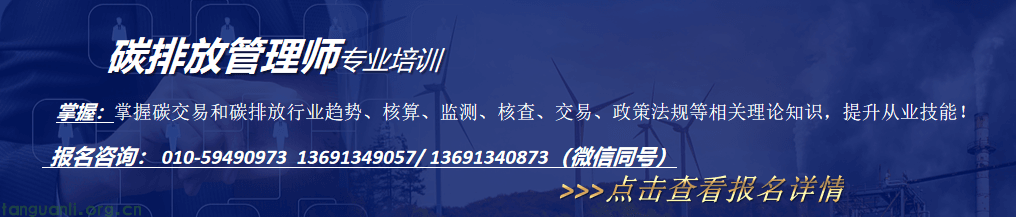 若核查发现数据质量存在问题，企业可能面临哪些后果？