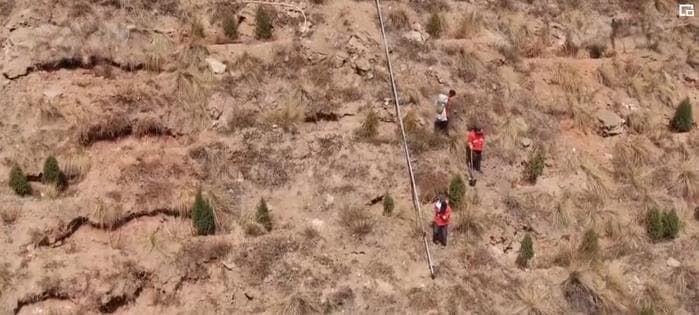 与恶劣环境“硬碰硬” 高原上的“播种者”植树“添”绿让荒地变绿荫