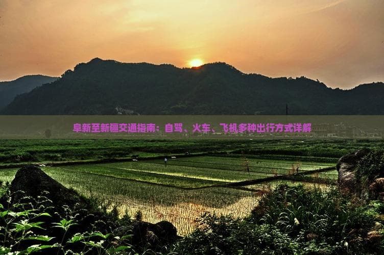 阜新至新疆交通指南：自驾、火车、飞机多种出行方式详解