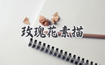 玫瑰花素描教程：零基础也能画出惊艳之作