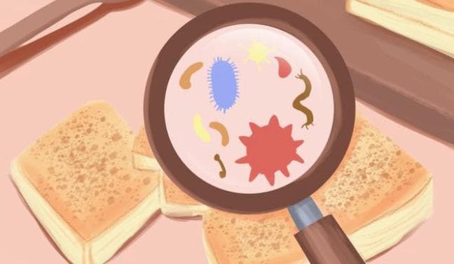 餐桌上的微生物：从发酵功臣到致病元凶