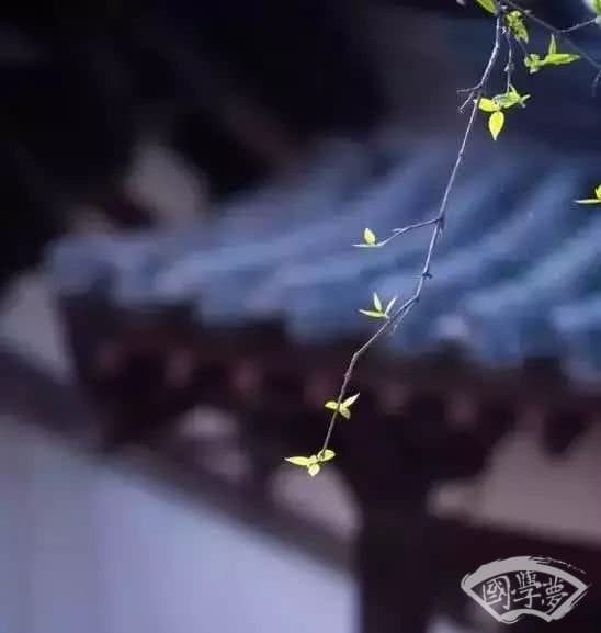 处世奇书《增广贤文》：20句至理名言，20种人生智慧