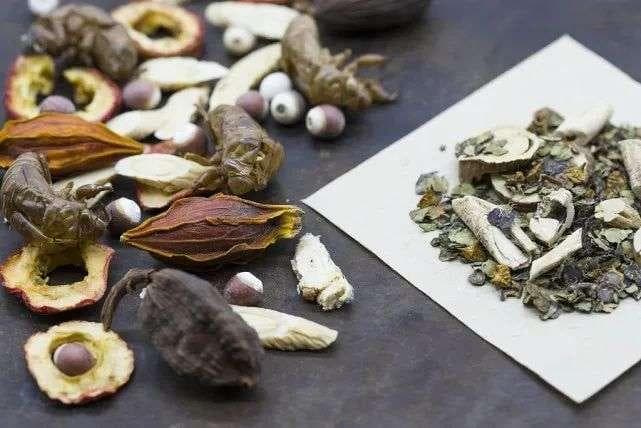 “苦”味药的三大功效：能燥、能泄、能坚