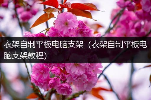 衣架自制平板电脑支架（衣架自制平板电脑支架教程）
