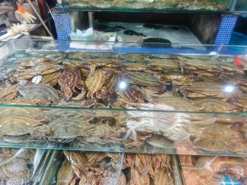 青岛城市生活资讯：地铁安检、海鲜市场动态及春季赶海攻略