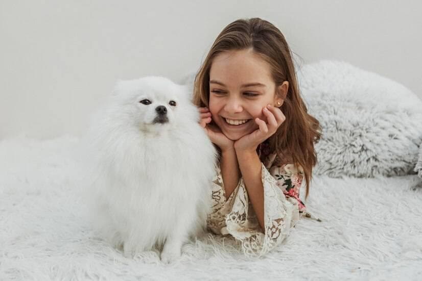 博美犬洗澡的六大禁忌