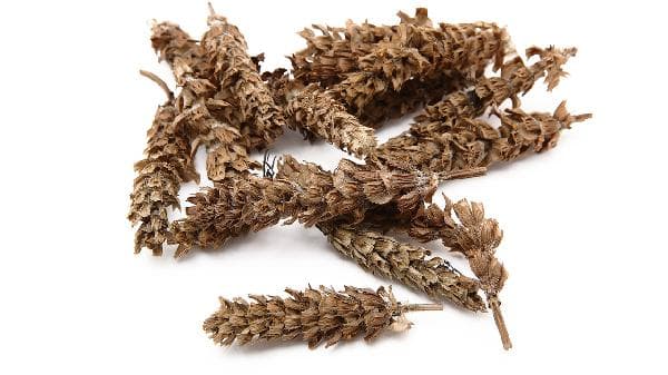夏枯草入药是花好还是茎好？用量和采摘时机全解析