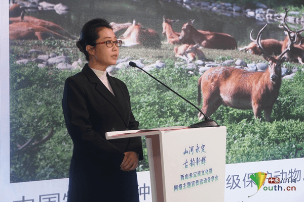 山河永定|胡冀宁：西山永定河文化带为麋鹿提供最佳栖息环境