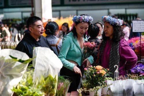 昆明斗南花卉市场 | 亚洲花都的浪漫经济密码