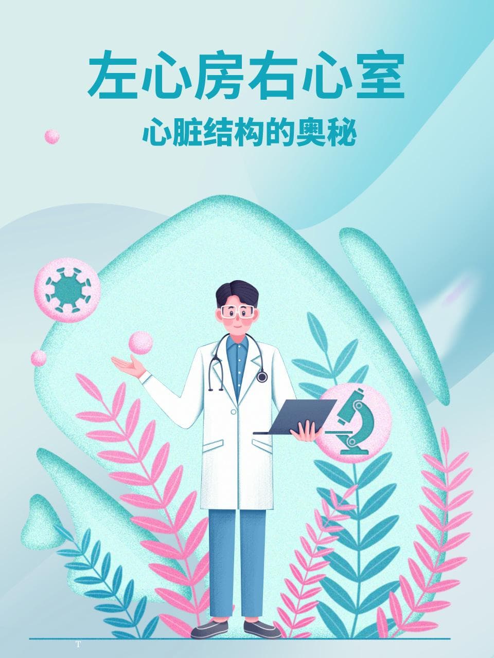 左心房右心室：心脏结构的奥秘