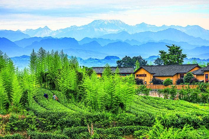 这个四川小城靠打造“诗意”村庄破圈
