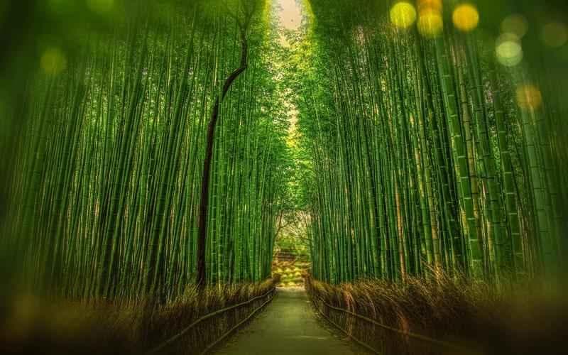 卑微的意思和解释：从语言到人生的多维度解读