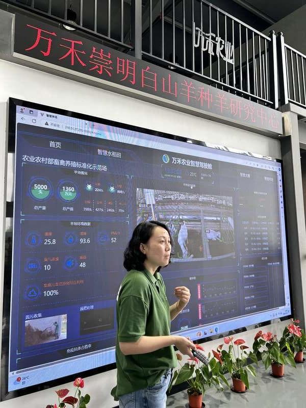 上海崇明：花大力气发展农业新质生产力