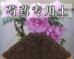 买来的营养土能否直接用于种花？（营养土是什么？如何使用？注意事项？）