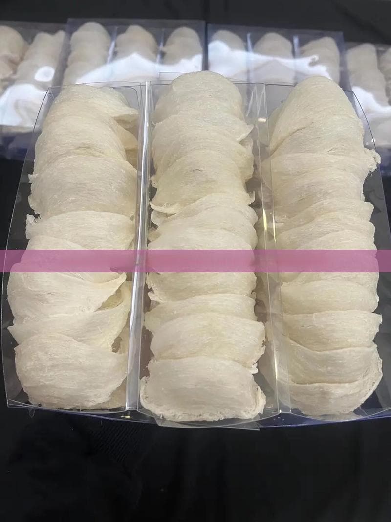 鱿鱼属于鱼类吗？为何不宜食用？全面解析鱿鱼的分类与食用注意事项