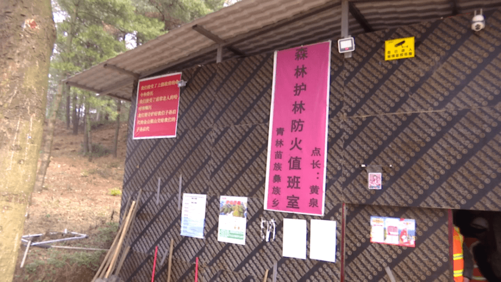【网络中国节·清明】市民海采：移风易俗过清明 文明祭祀树新风