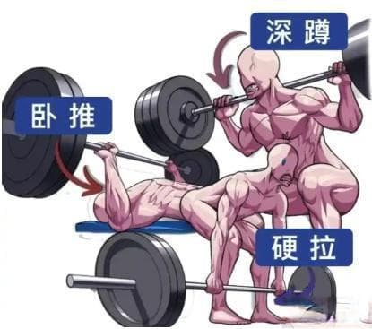 功能性训练、健美与力量举：目标与训练方法的全方位解析