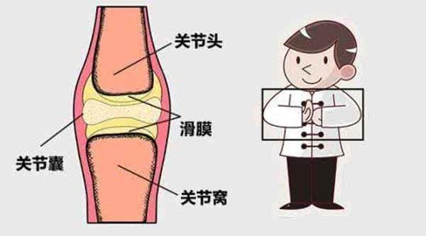 深蹲时膝盖响声揭秘：生理现象还是健康隐患？