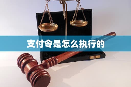 支付令是怎么执行的