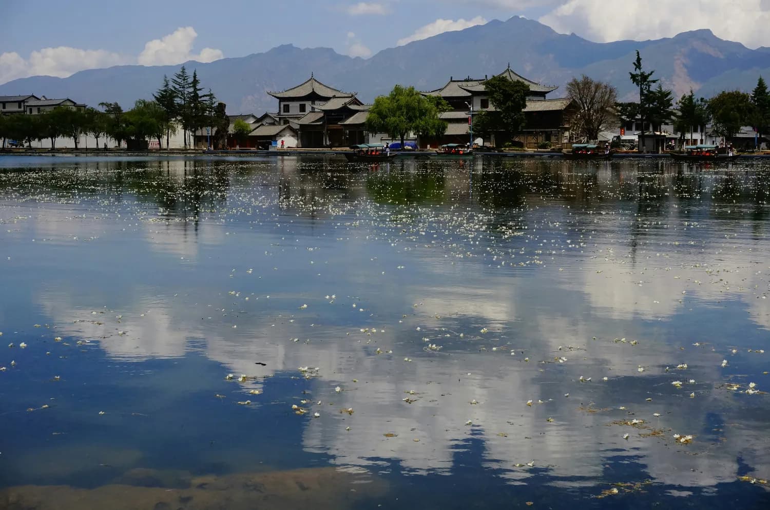 大理洱海秋冬摄影攻略：8大绝美取景地+拍摄技巧详解