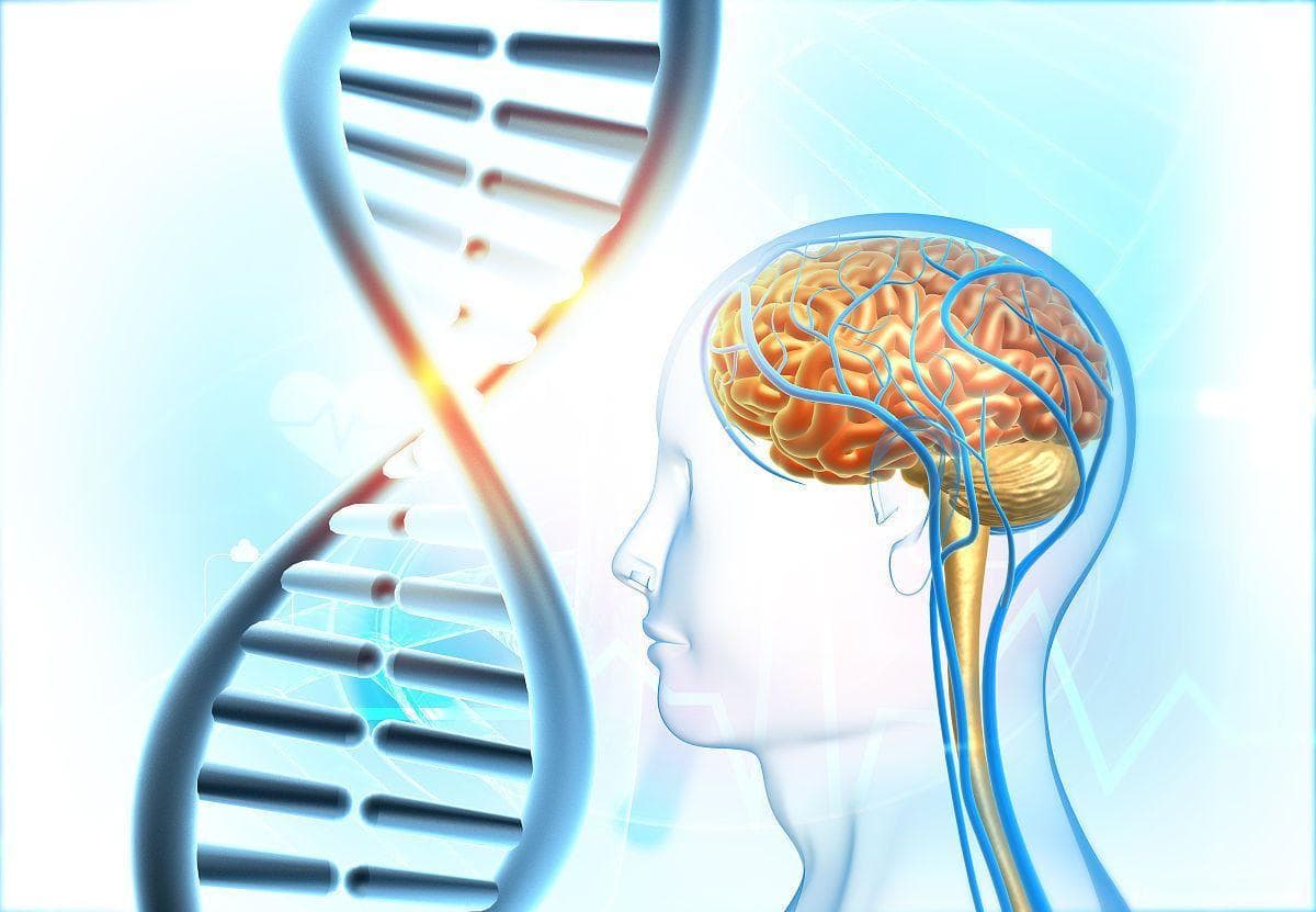 2024年生物学和神经科学的重大突破