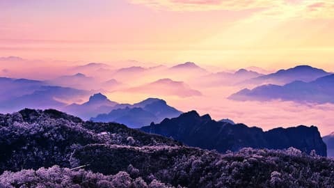 张家界三大景区全攻略：森林公园、天门山、大峡谷的区别与特色