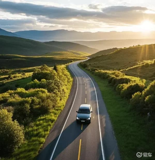 三大国产车：国人心头宝，海外评价参差