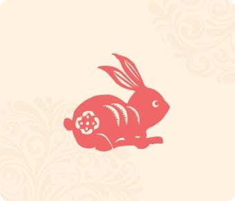 生肖属兔的性格特点与运势解读